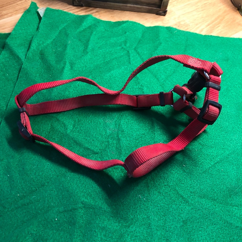 Dog harness
